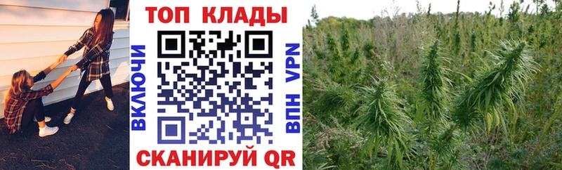 Купить Гашиш  Alpha-PVP  МЕФ  Каннабис  Боготол