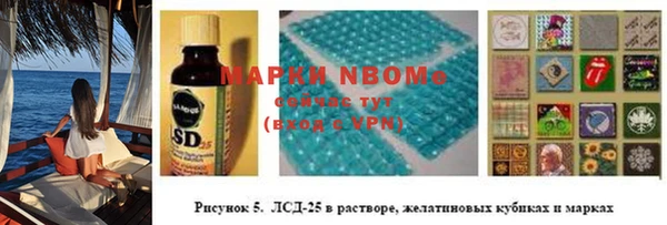 прущие грибы Куйбышев