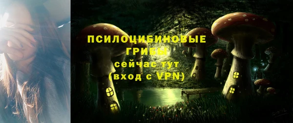 стафф Кукмор