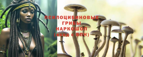 прущие грибы Куйбышев