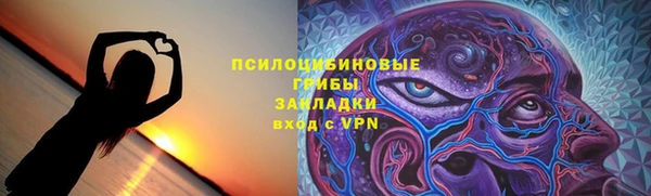 спайс Кулебаки