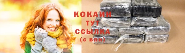 прущие грибы Куйбышев