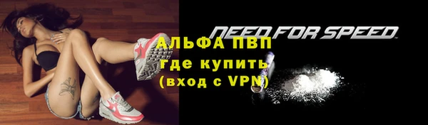 прущие грибы Куйбышев