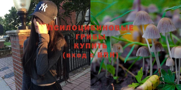 спайс Кулебаки