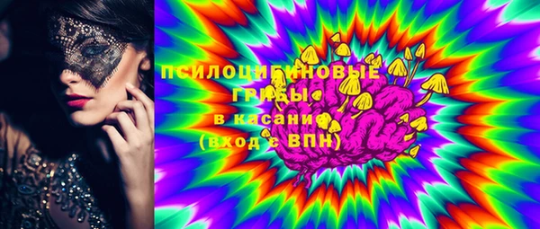 прущие грибы Куйбышев
