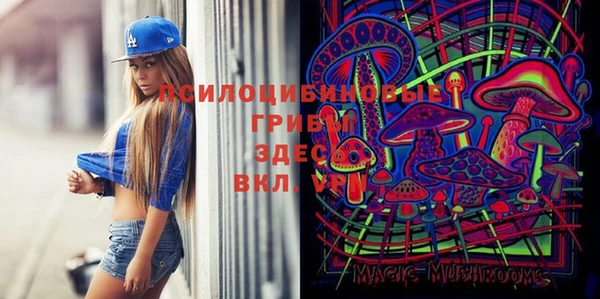 спайс Кулебаки
