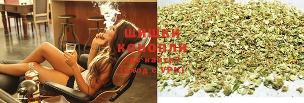 прущие грибы Куйбышев
