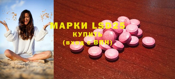 спайс Кулебаки