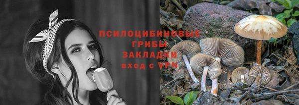 спайс Кулебаки
