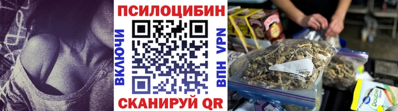 Галлюциногенные грибы GOLDEN TEACHER  Купить где  Боготол 
